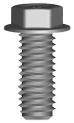 Shakeproof screw